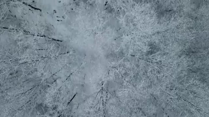 雪林树顶鸟瞰图雾凇冰柱冰花