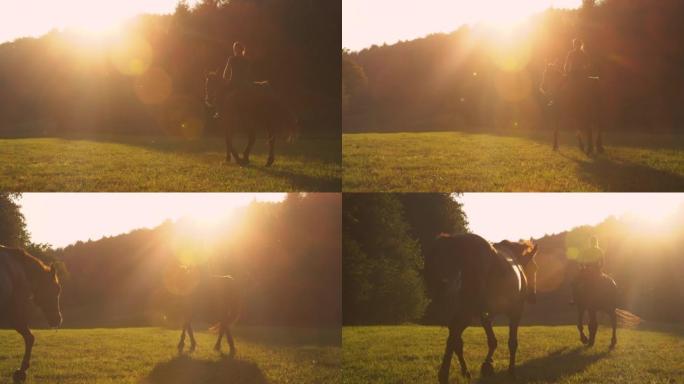 剪影: 无法辨认的女人在日落时带领她的马进入草地。
