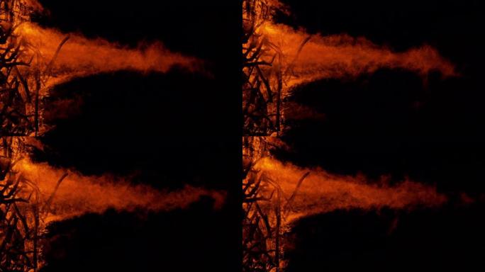 垂直: 巨大篝火的美丽镜头升入黑暗的夏日夜空。