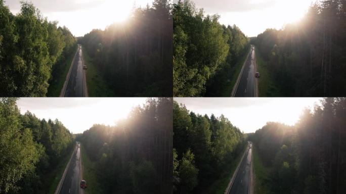 日落时森林里的路。发光的镜头在树上闪烁。航拍视频