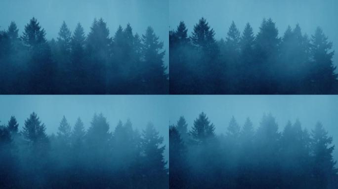 树木线上的雨水和薄雾