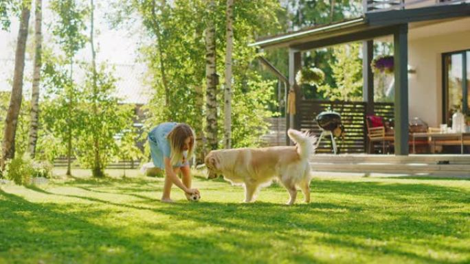 可爱的女孩和快乐的金毛猎犬在后院草坪上玩得很开心。她宠物，玩耍，将其放在地上并抓挠。快乐的狗玩玩具球