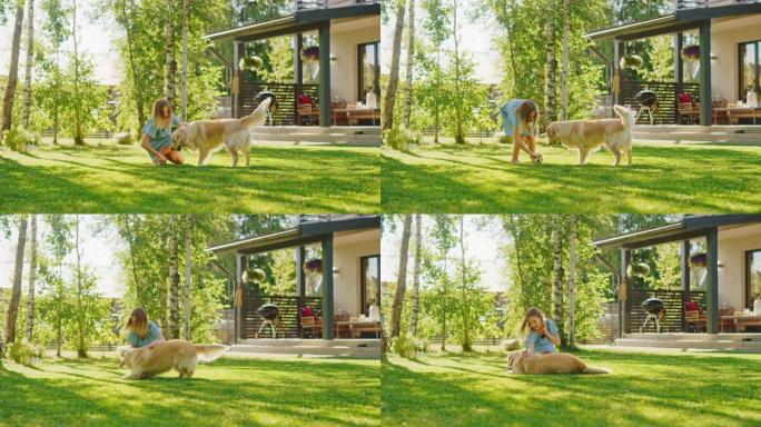 可爱的女孩和快乐的金毛猎犬在后院草坪上玩得很开心。她宠物，玩耍，将其放在地上并抓挠。快乐的狗玩玩具球