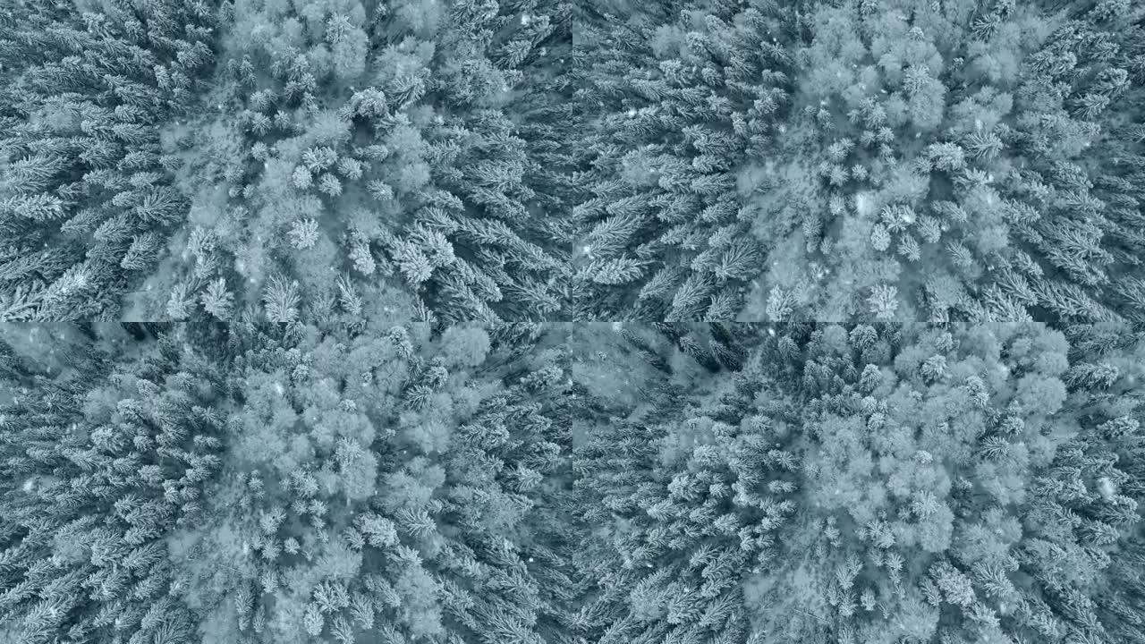 雪花落在山区冬季森林积雪覆盖的树上。冬季自然景观。混合冰冻森林的航拍。俯视图