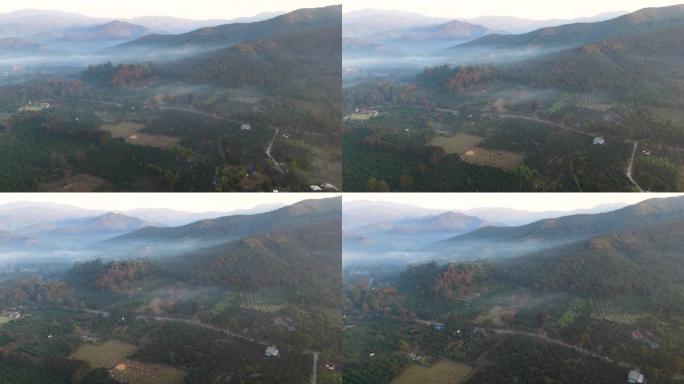 空中拍摄的薄雾与绿色森林日出时间在早晨