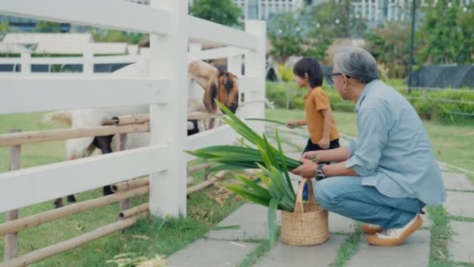 孙子一边学习善待动物，一边玩得开心。