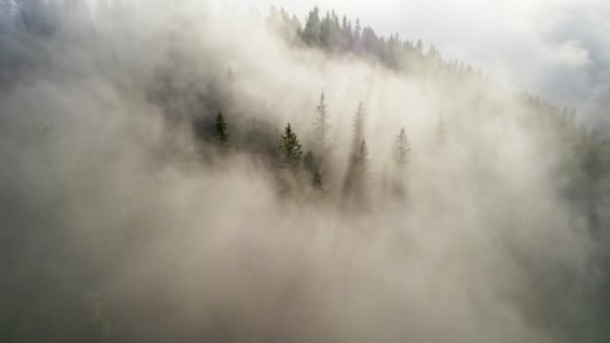 空中拍摄云层中的山林。雾蒙蒙的山区阳光明媚的早晨。阳光穿过雾和树枝。高质量4k镜头