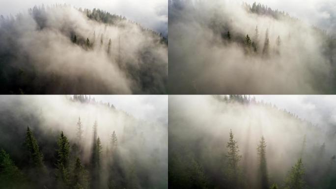 空中拍摄云层中的山林。雾蒙蒙的山区阳光明媚的早晨。阳光穿过雾和树枝。高质量4k镜头