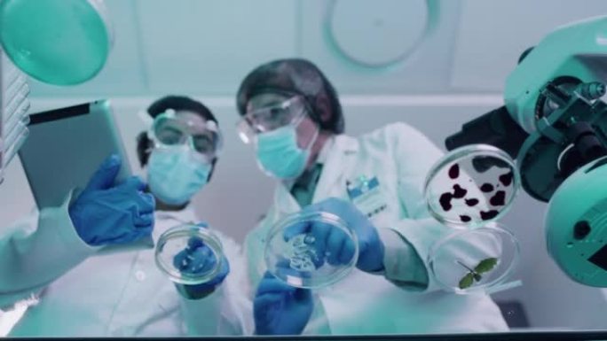 生命科学研究人员正在试验治疗新冠病毒的方法或细菌和感染细胞。在实验室中为临床试验分析医学检查结果的受