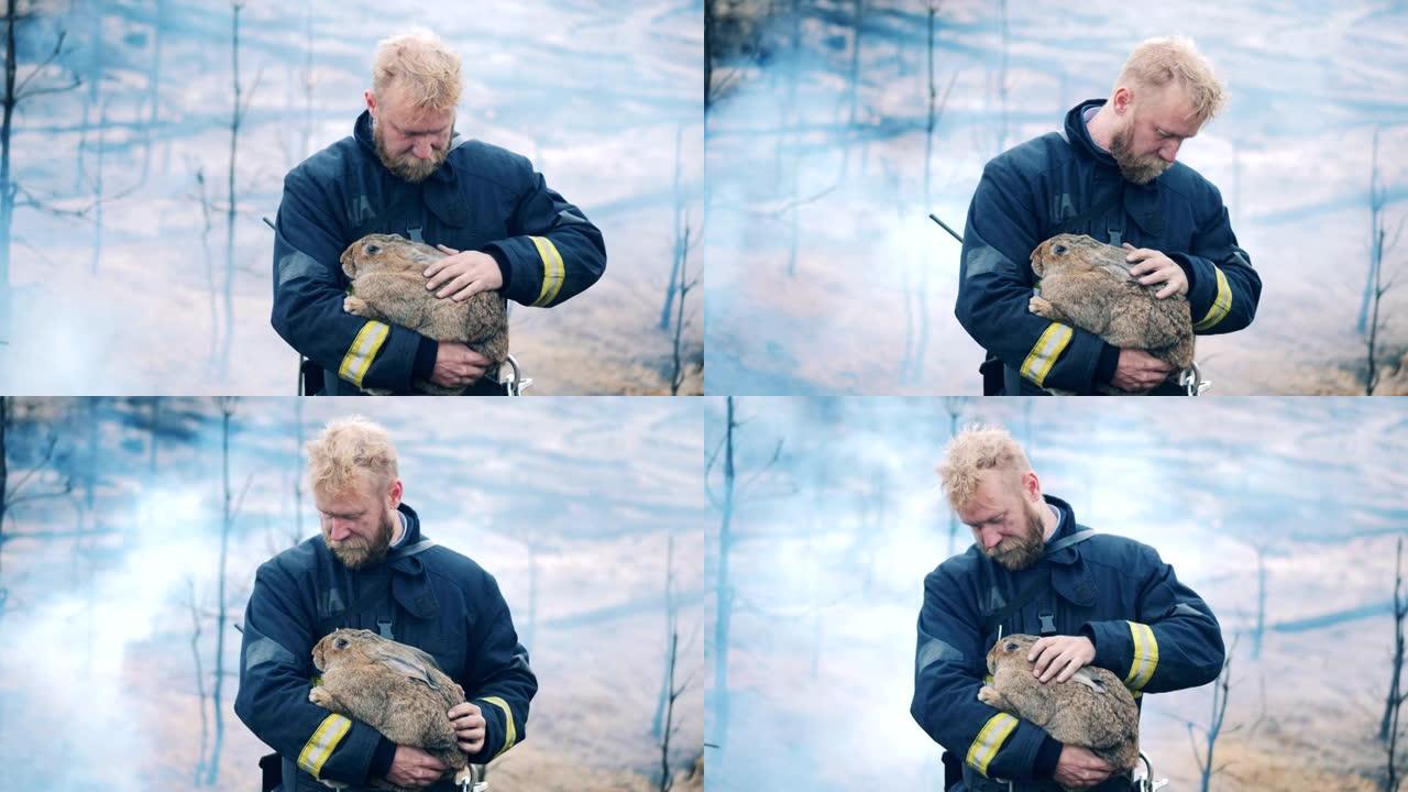消防员正在抚摸从大火中救出的兔子