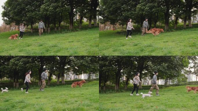 夫妇和狗一起跑步年轻情侣草坪跑步爱情生活