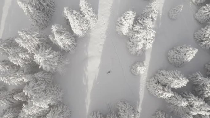 在白雪覆盖的森林中制作雪天使的女人