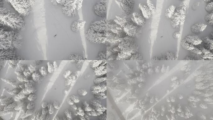在白雪覆盖的森林中制作雪天使的女人