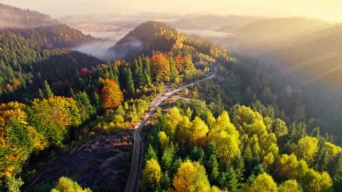 山里的秋天风景。鸟瞰黄色和红色秋树之间的道路，晨雾，日出。秋季高山森林