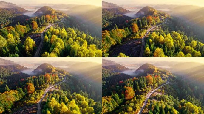 山里的秋天风景。鸟瞰黄色和红色秋树之间的道路，晨雾，日出。秋季高山森林