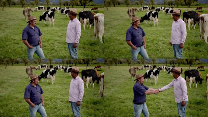 男性农民在奶牛场非常愉快地交谈，并以友好的握手达成交易