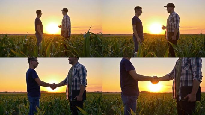 日落时分，两个年轻的农民在玉米地里握手