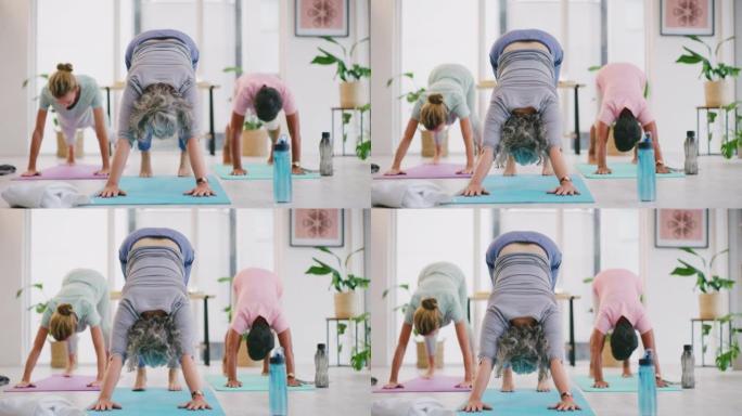 在瑜伽馆的健身课上，活跃的成熟女性弯腰朝下的狗姿势。瑜伽士训练一群冷静放松的女士。锻炼以改善健康和福