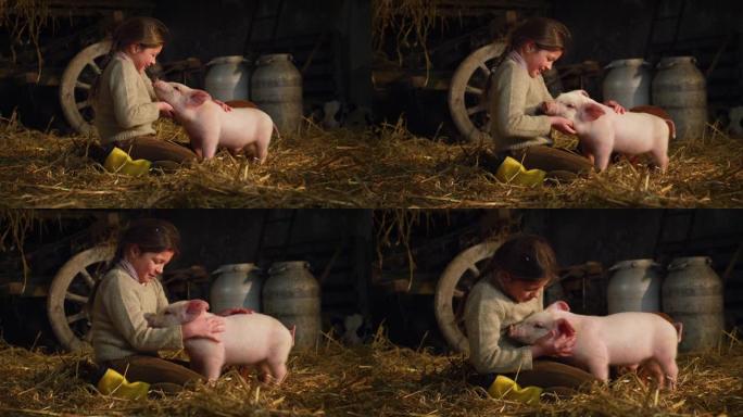 快乐的小女孩爱抚着生态生长的新生粉红色小猪。