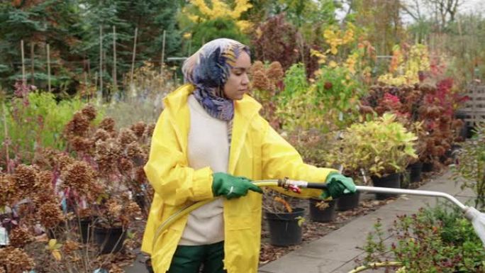 伊斯兰妇女在苗圃为盆栽植物浇水