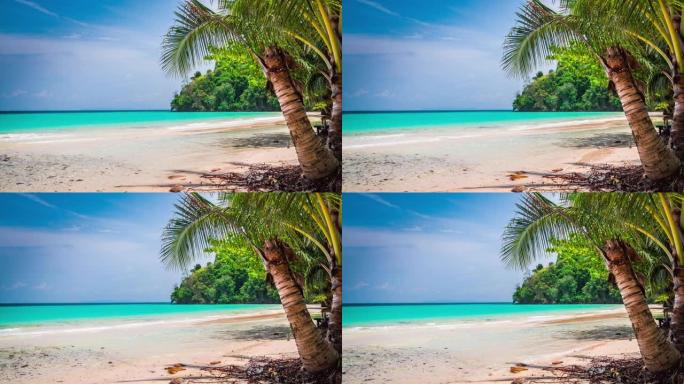 泰国有棕榈树的热带海滩