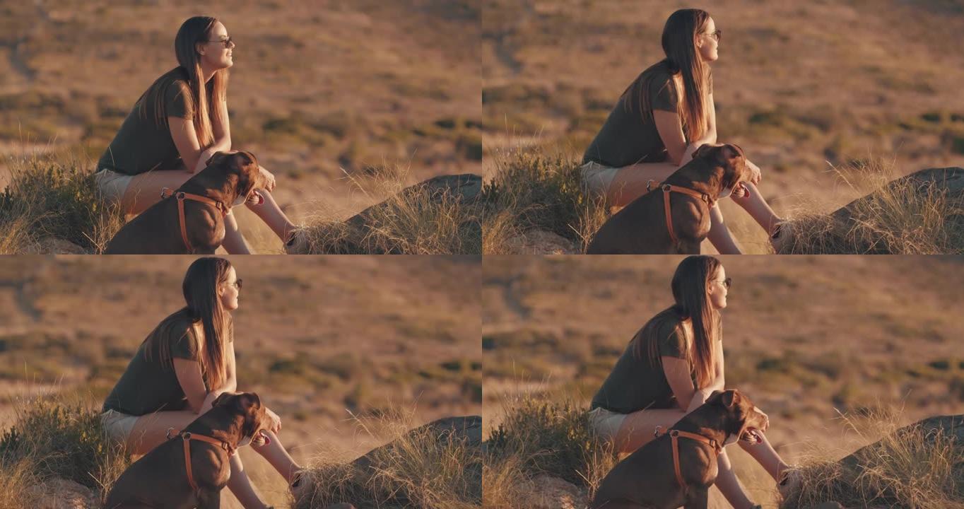4k视频片段，一位迷人的年轻女子与她的狗坐在一起，在徒步旅行中观看日落