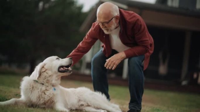 一个快乐的成年男子和一只宠物金毛猎犬在户外享受时光的肖像，抚摸一只顽皮的狗。开朗的高级男性在屋前的花