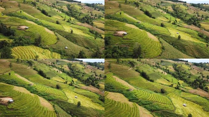 泰国北部农业梯田的空中拍摄