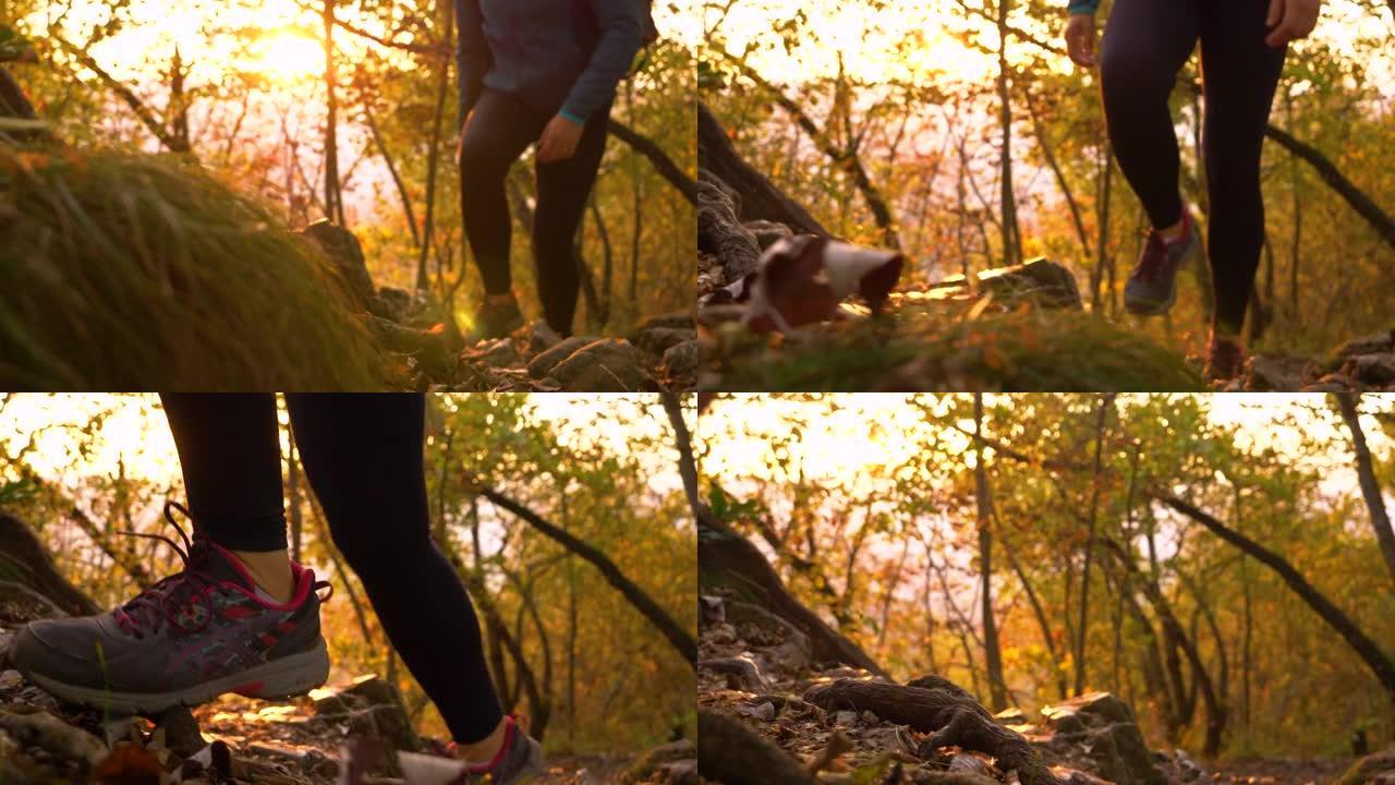 低角度: 在一个阳光明媚的秋天早晨，穿着紧身裤的女人在岩石小径上远足。
