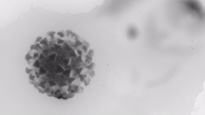 黑白概念性病毒细胞的微观视图