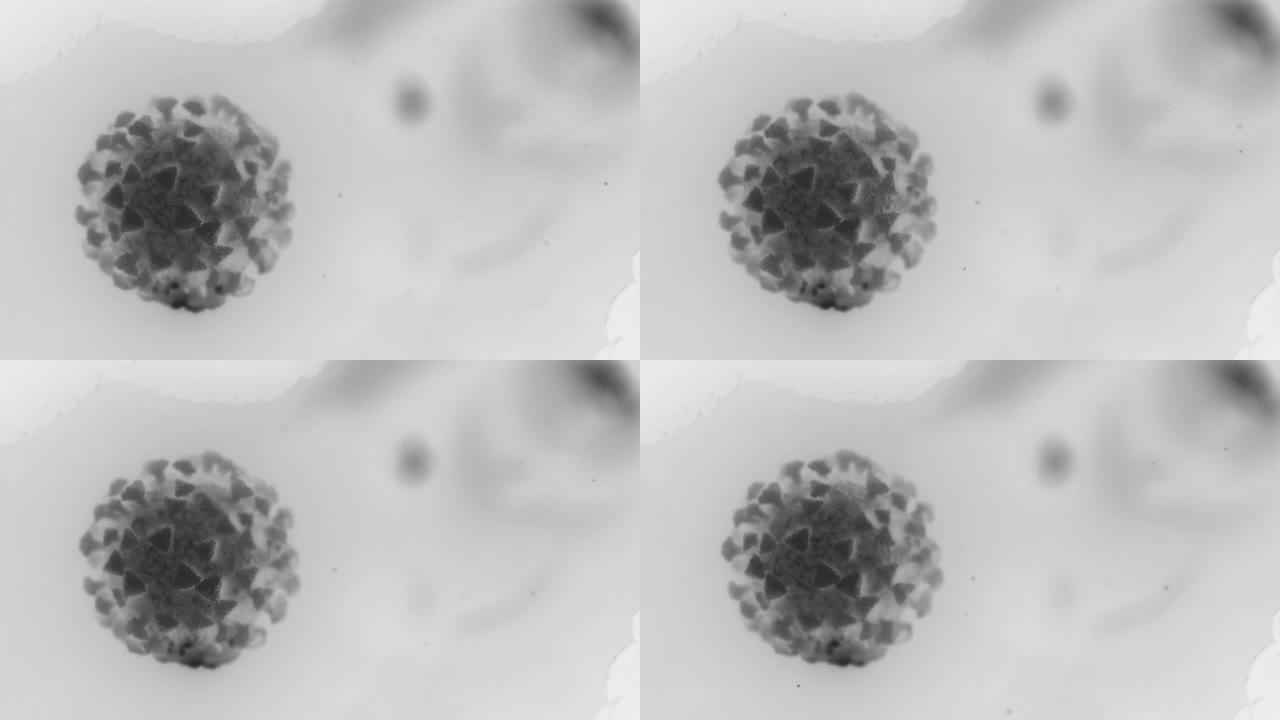 黑白概念性病毒细胞的微观视图