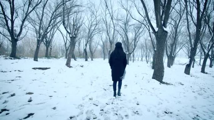年轻女性独自在冬季林地行走
