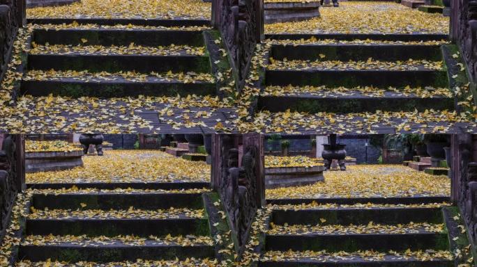 秋日的银杏落叶覆盖了庆阳宫的大地