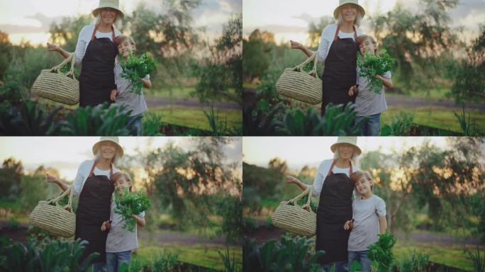 在花园里帮助奶奶老人和男童田园生活幸福温