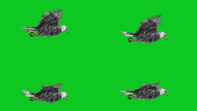 动画木炭铅笔绘制鹰在绿色屏幕上飞行可循环动物，野生动物，游戏，返校，木炭，绘画，短视频，电影，卡通，