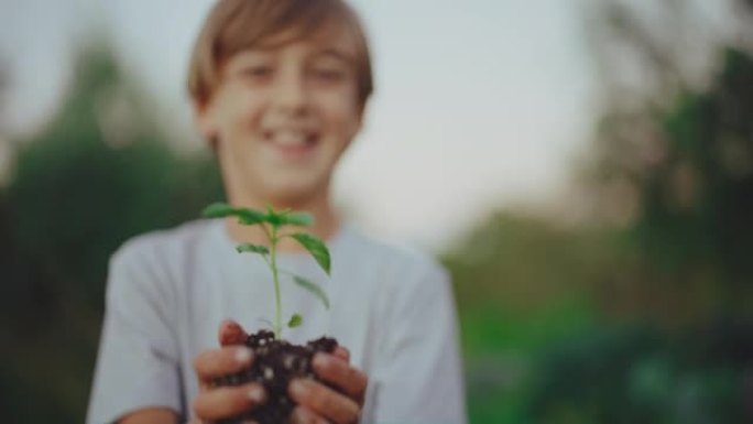 小男孩园艺种植幼苗树苗