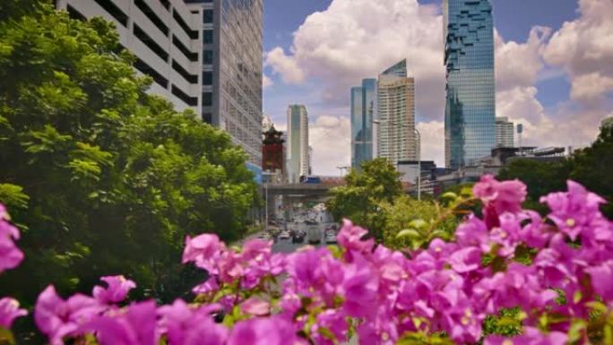 花与城市。生态学概念