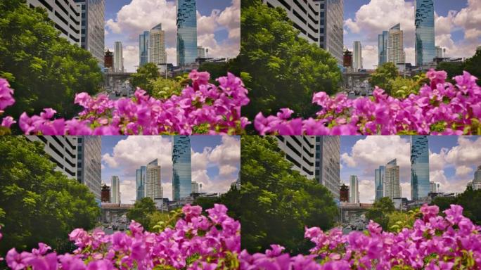 花与城市。生态学概念