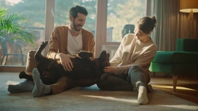在家: 幸福的夫妇和他们的狗，华丽的棕色拉布拉多猎犬一起玩。男朋友和女朋友挑逗，宠物和抓挠超级快乐的