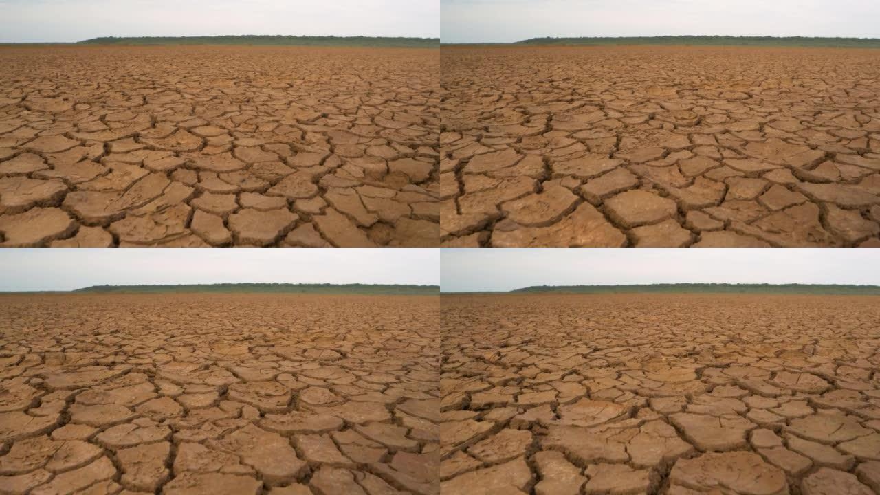 特写: 长期干旱造成大面积干土和土壤开裂