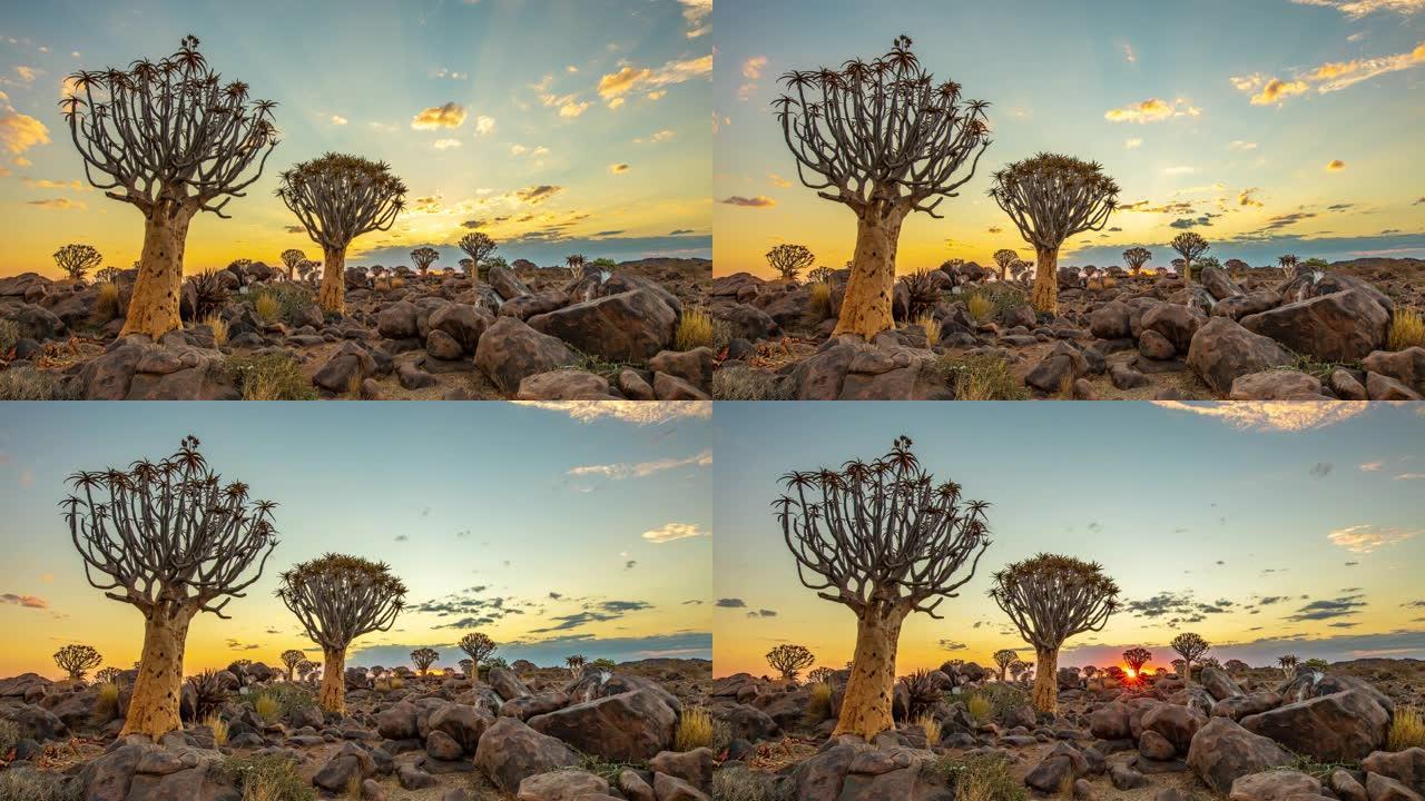 非洲纳米比亚日落时分宁静箭袋森林