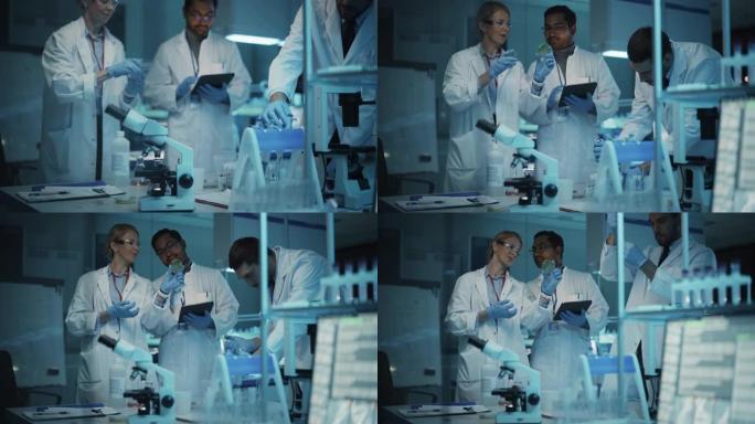 医学研究科学家团队在试管和平板电脑中病毒样品的帮助下开会并进行实验。应用科学实验室，拥有多元多元文化