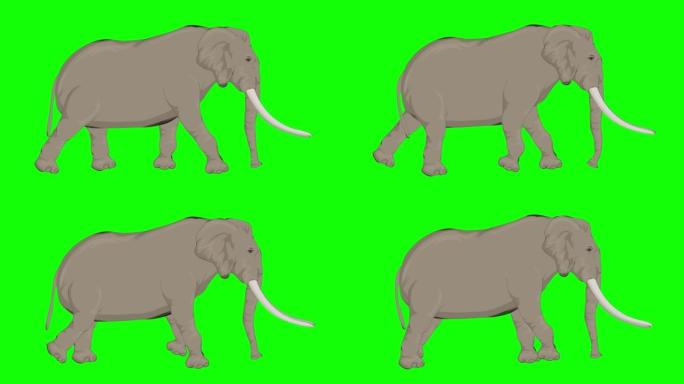 绿屏行走大象卡通动画。动物，野生动物，游戏，返校，3d动画，电影，有机，色键，人物动画，设计元素，可