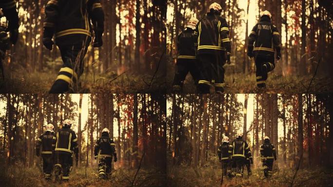 一群消防员在野外森林深处调查了一个小火源。谨慎的消防员很幸运能在火焰蔓延并变得无法控制之前及时赶到。