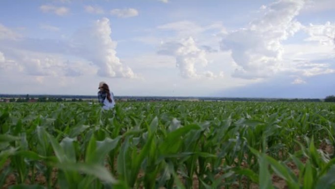 留着棕色长发，帽子和工作服的农夫妇女，走在她的农业玉米田上，跪下并检查植物的质量，拿着数字平板电脑