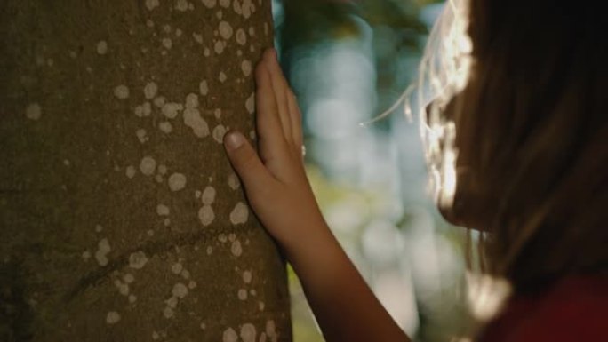 SLO MO小女孩在森林里摸一棵树