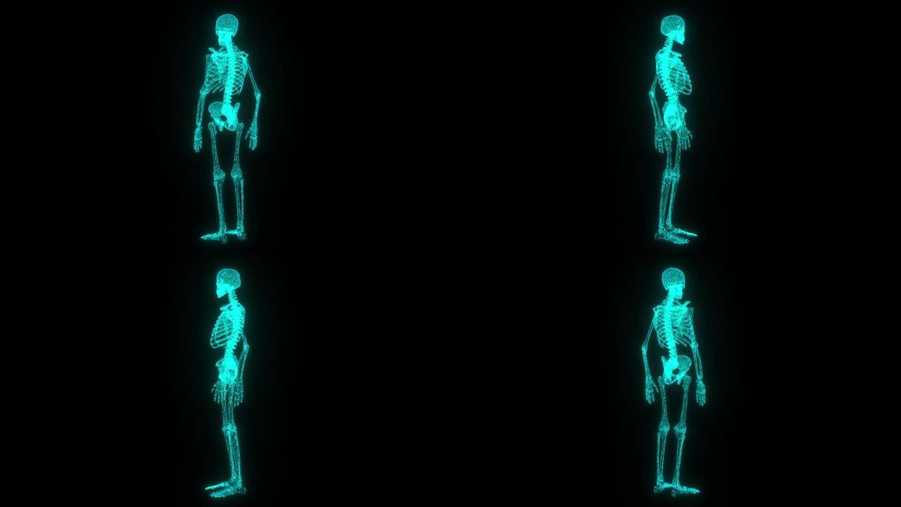 X射线扫描的人体骨骼的数字增强视频片段