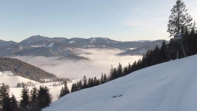 空中: 田园诗般的朱利安阿尔卑斯山雪山的壮观无人机景观