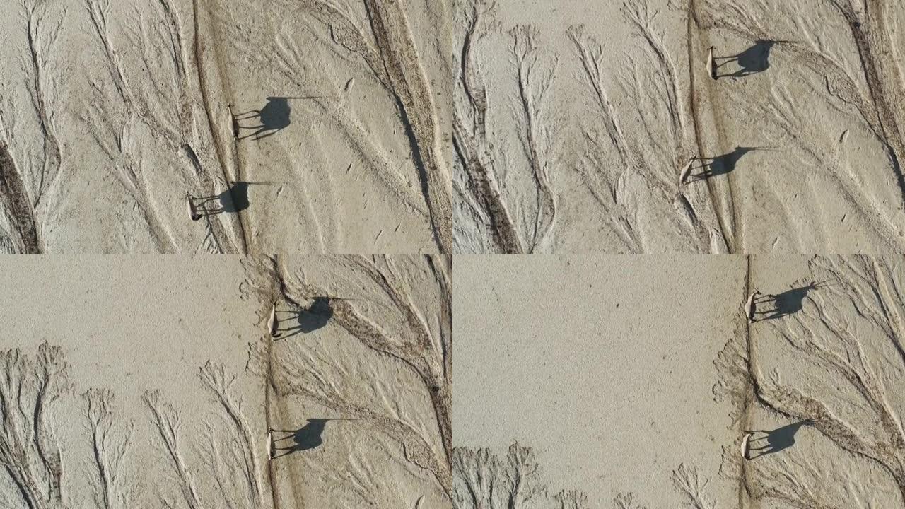 在壮观的纳米布沙漠中，两个Gemsbok Oryx在干燥的干裂的泥浆表面上行走时的直线鸟瞰图