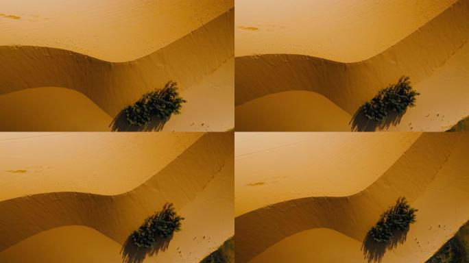 夏季曲线形沙丘的鸟瞰图